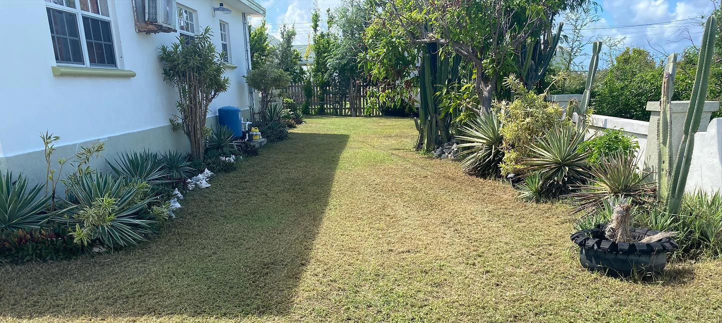 Read more about the article ABA Landscaping