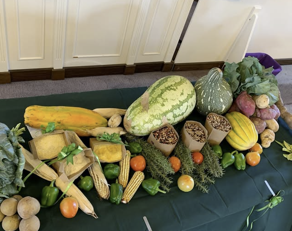 Read more about the article Caicos Traditions Ltd.