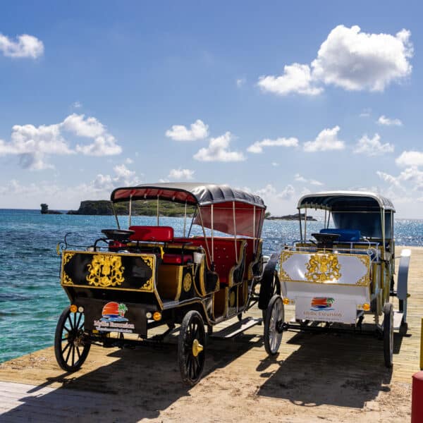 Invest Turks and Caicos