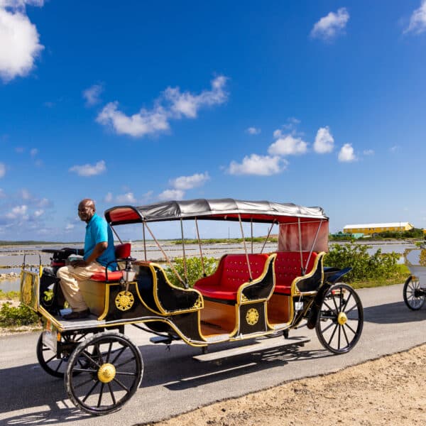 Invest Turks and Caicos